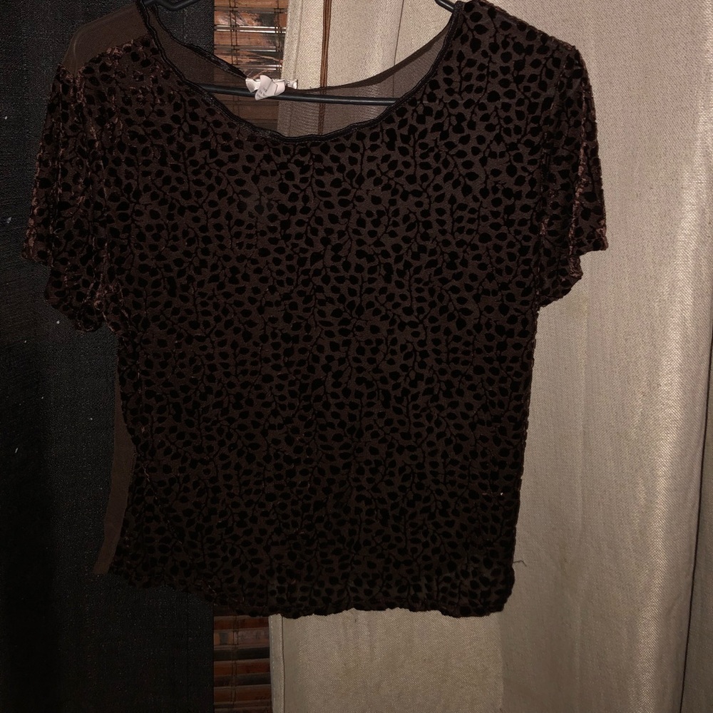 Brown sheer top